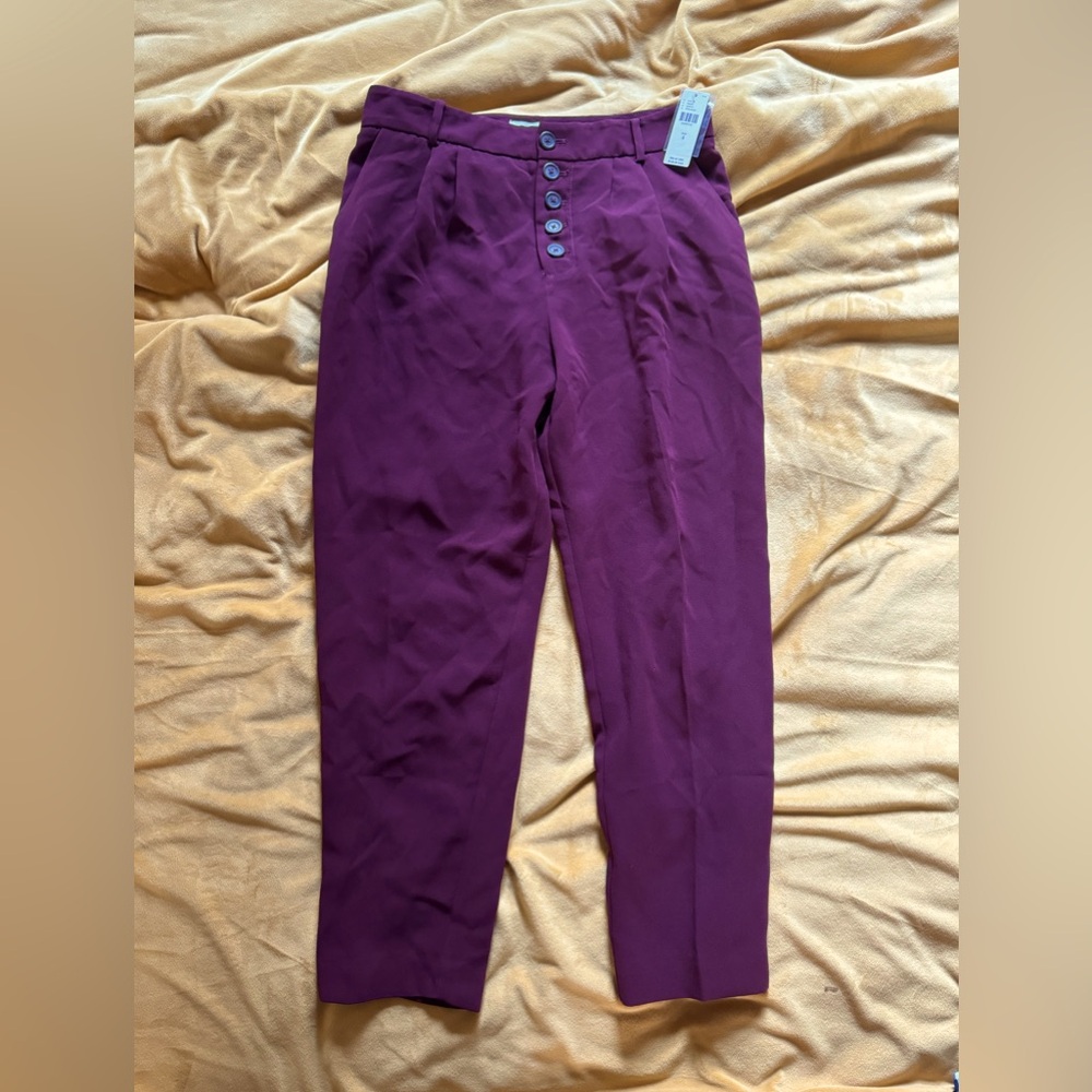 Never worn. Size 4 Maroon Pants. Anthropologie